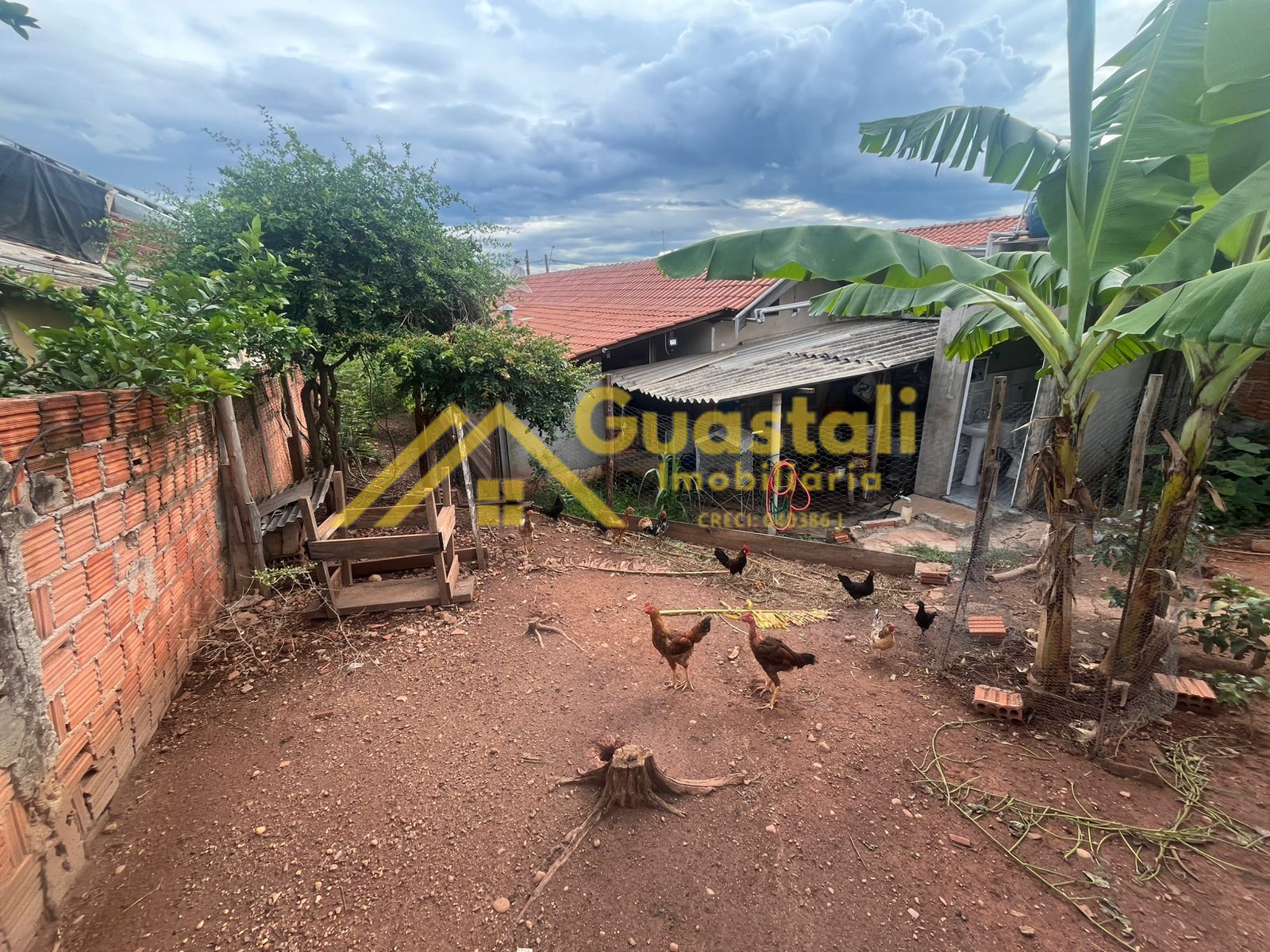 Fazenda à venda com 2 quartos, 1000m² - Foto 14