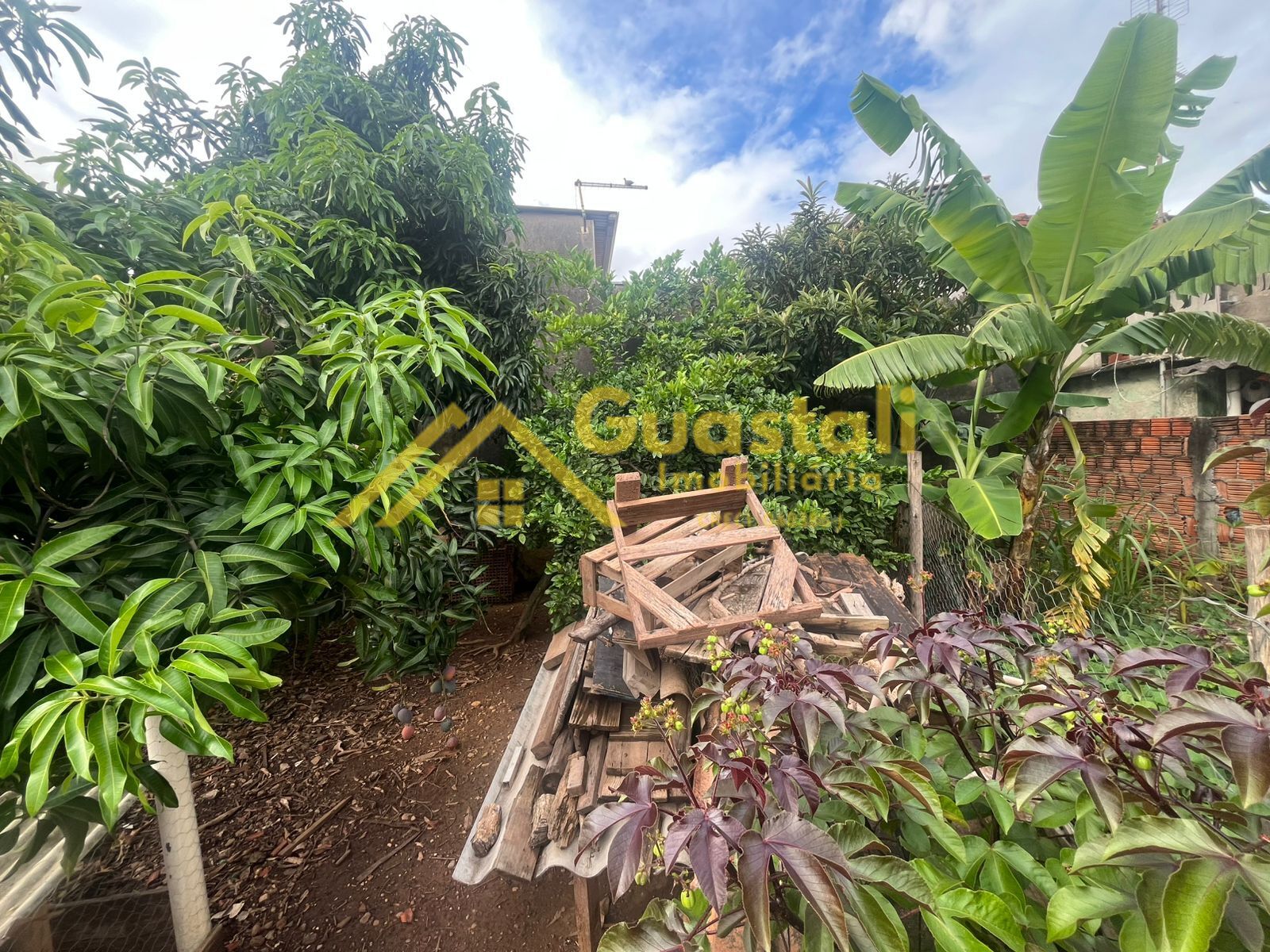 Fazenda à venda com 2 quartos, 1000m² - Foto 12