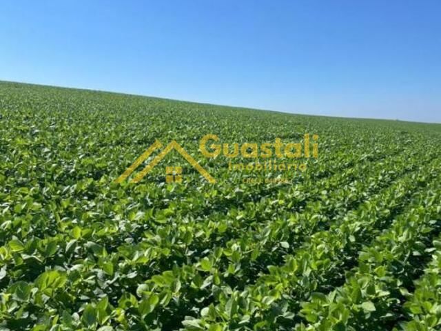Fazenda à venda, 2662000m² - Foto 7
