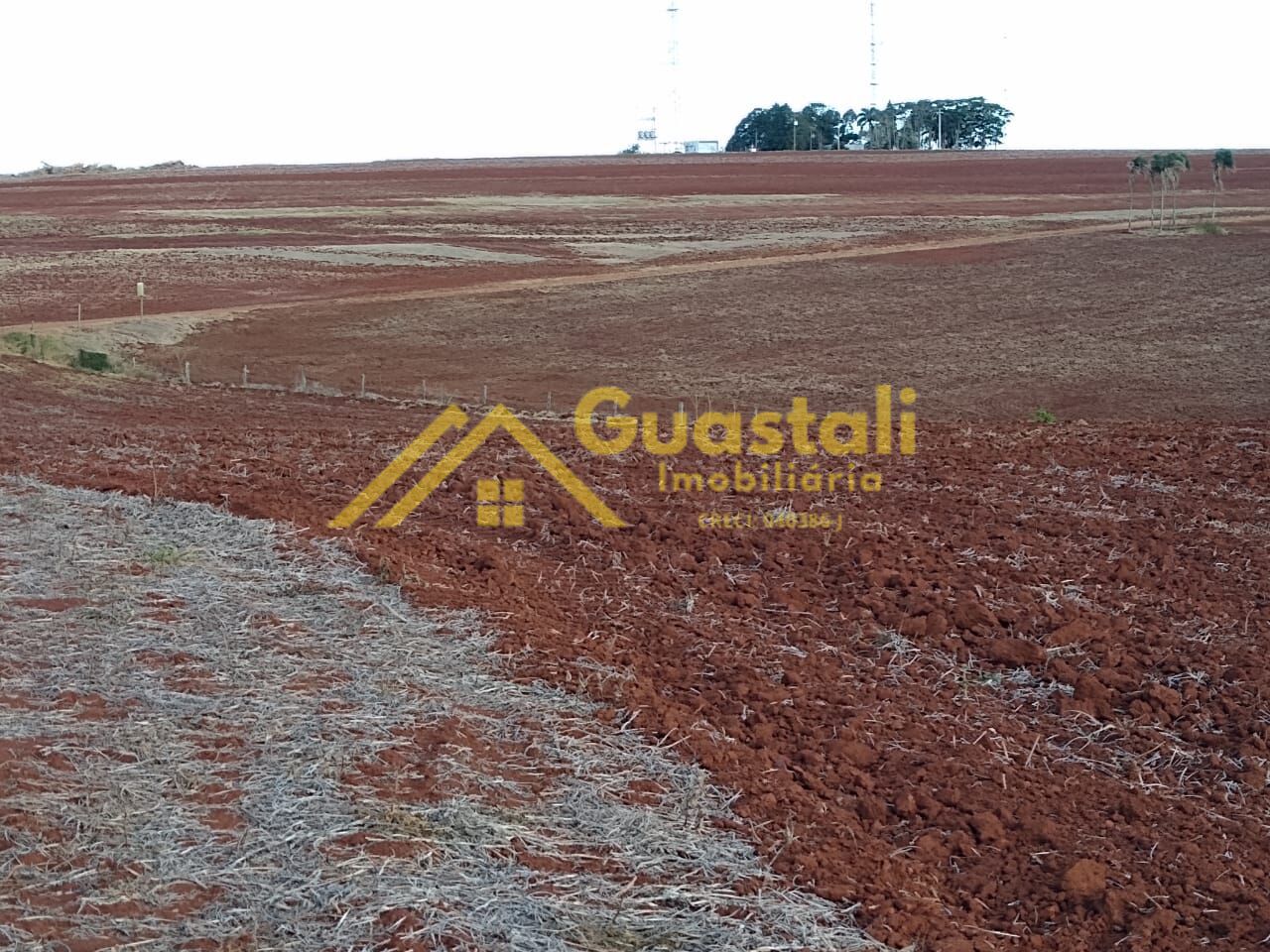Fazenda à venda, 2662000m² - Foto 5