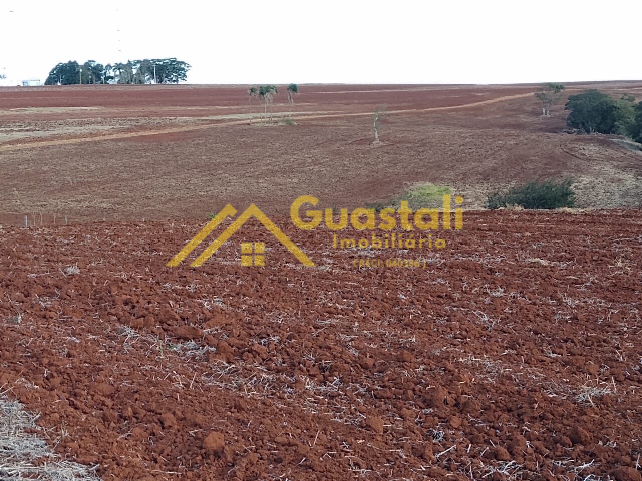 Fazenda à venda, 2662000m² - Foto 4