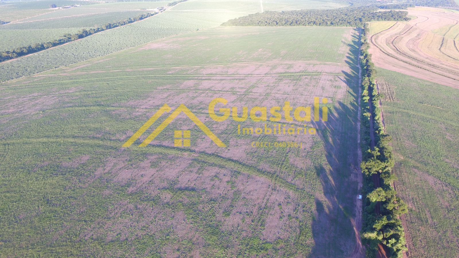 Fazenda à venda, 11712800m² - Foto 4