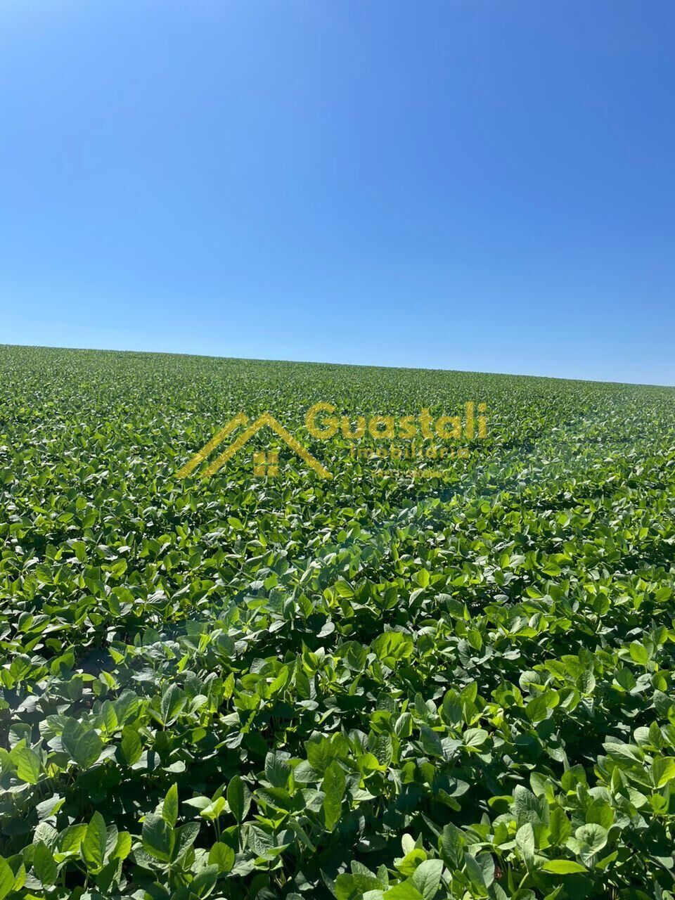 Fazenda à venda, 11712800m² - Foto 1