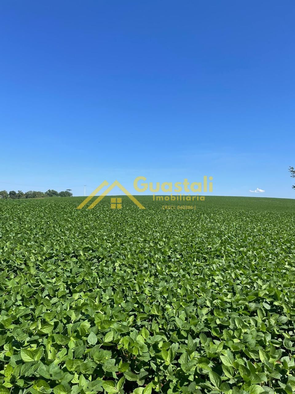 Fazenda à venda, 11712800m² - Foto 2