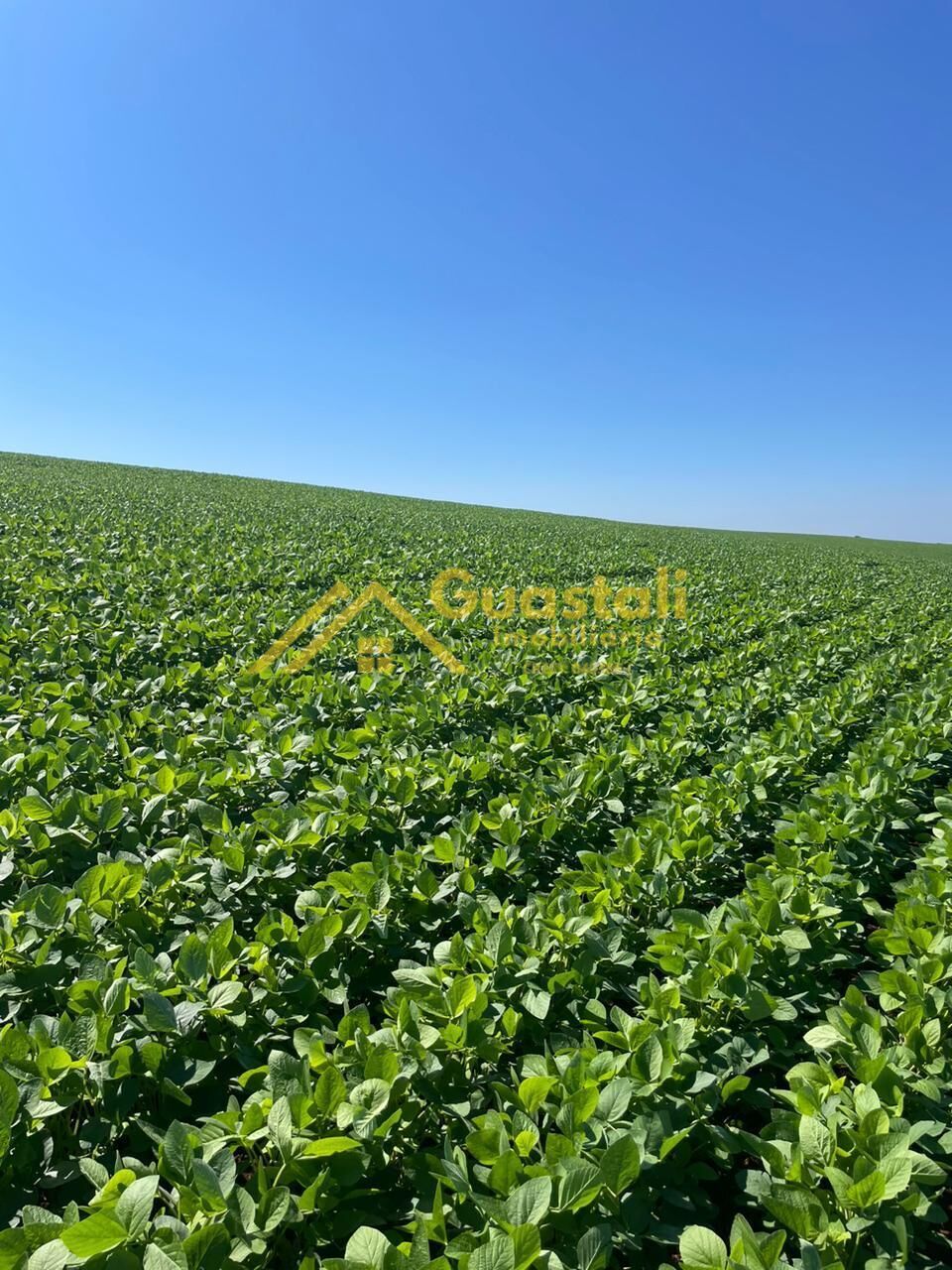 Fazenda à venda, 11712800m² - Foto 3
