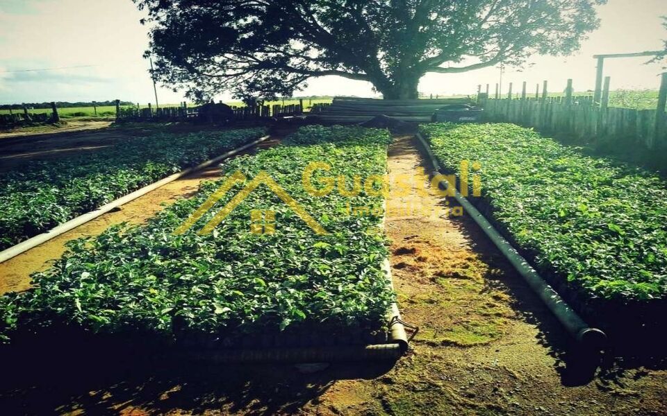Fazenda à venda com 5 quartos, 6000000m² - Foto 13
