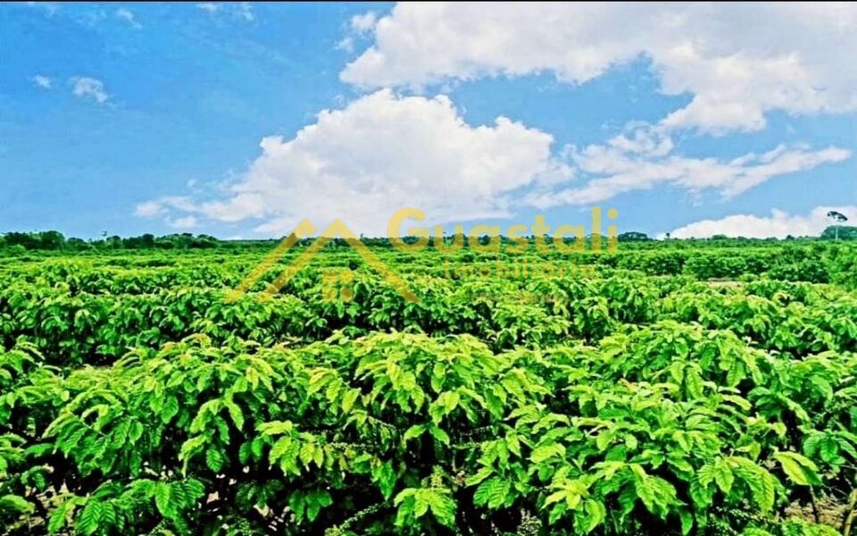 Fazenda à venda com 5 quartos, 6000000m² - Foto 14
