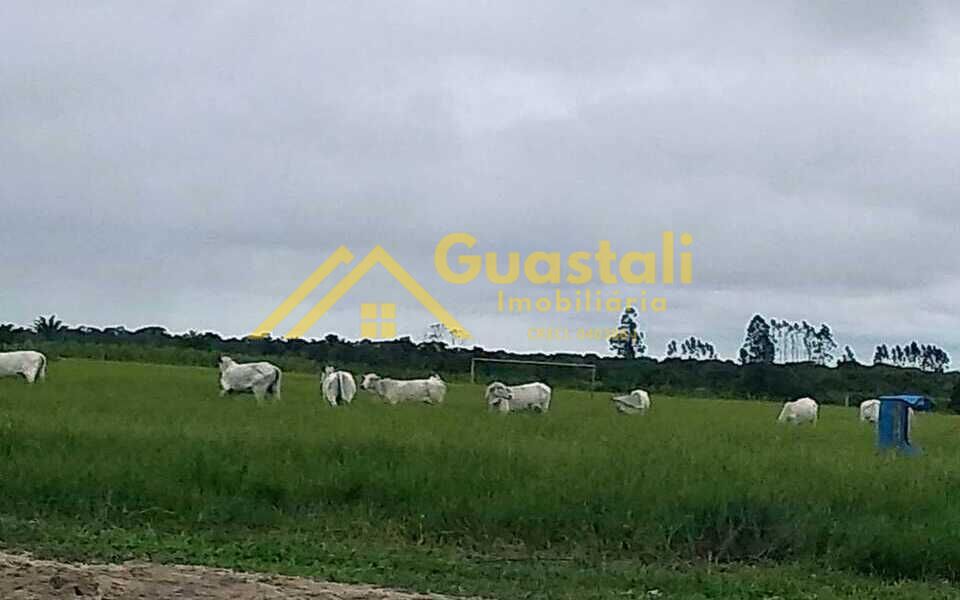 Fazenda à venda com 5 quartos, 6000000m² - Foto 20