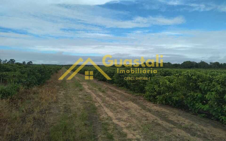 Fazenda à venda com 5 quartos, 6000000m² - Foto 15