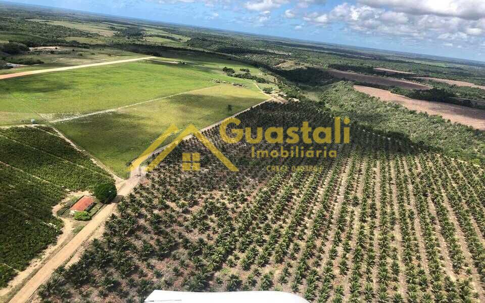Fazenda à venda com 5 quartos, 6000000m² - Foto 1