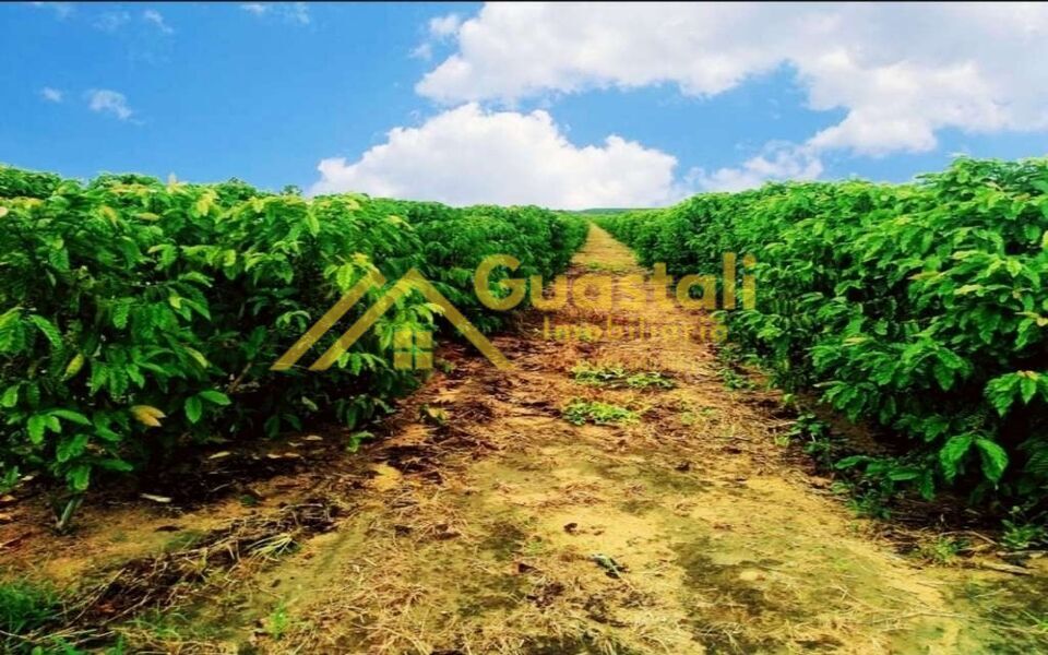 Fazenda à venda com 5 quartos, 6000000m² - Foto 12