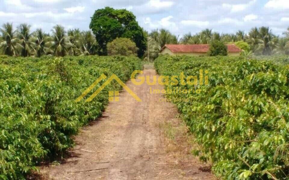 Fazenda à venda com 5 quartos, 6000000m² - Foto 8