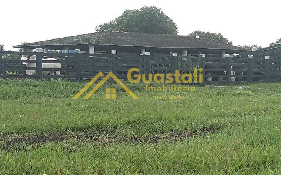 Fazenda à venda com 5 quartos, 6000000m² - Foto 22