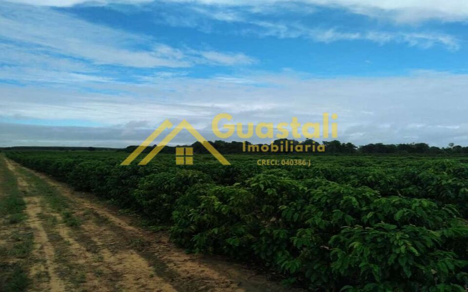 Fazenda à venda com 5 quartos, 6000000m² - Foto 9