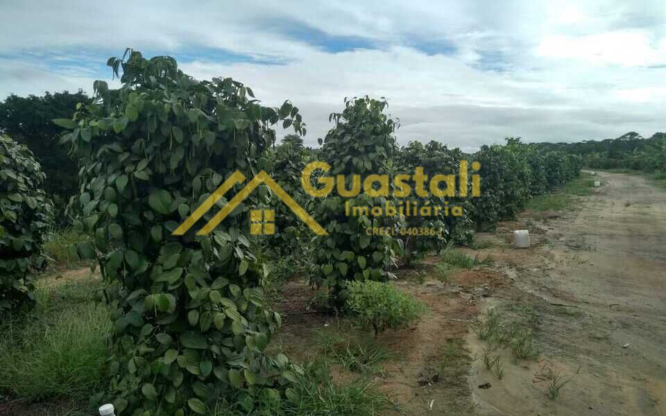 Fazenda à venda com 5 quartos, 6000000m² - Foto 5