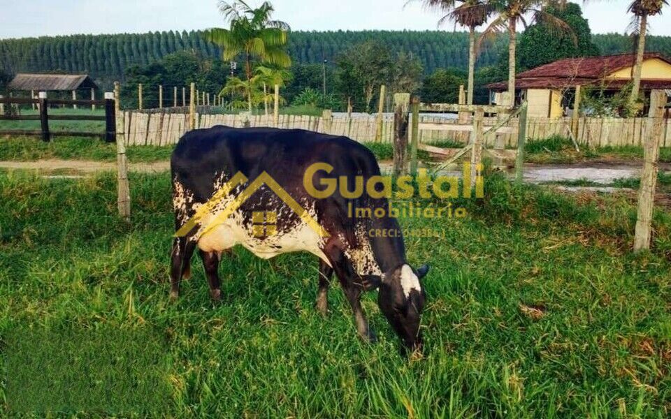 Fazenda à venda com 5 quartos, 6000000m² - Foto 18