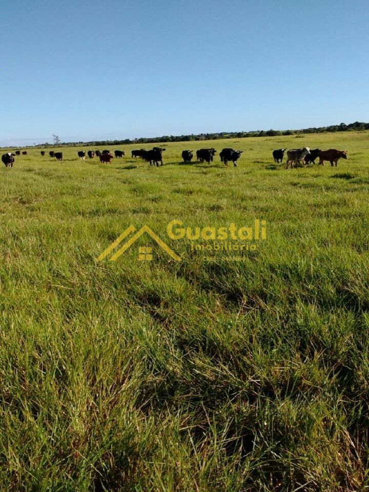 Fazenda à venda com 5 quartos, 6000000m² - Foto 21