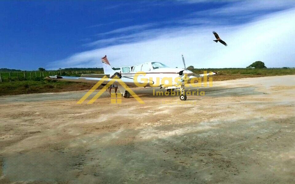 Fazenda à venda com 5 quartos, 6000000m² - Foto 4