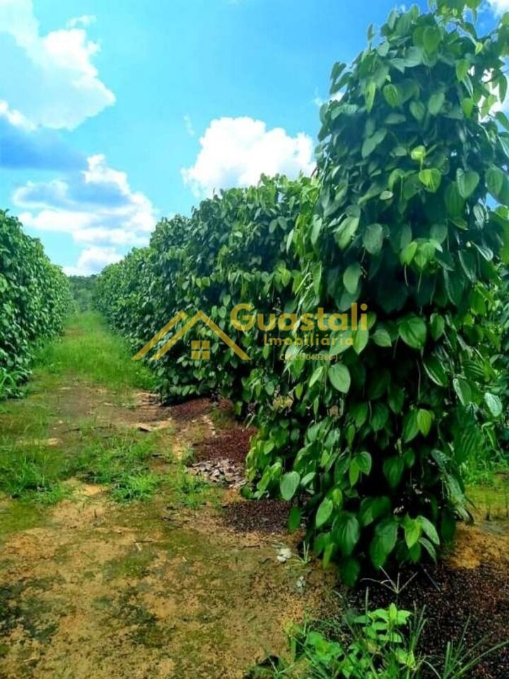 Fazenda à venda com 5 quartos, 6000000m² - Foto 6
