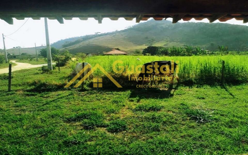 Fazenda à venda com 5 quartos, 6000000m² - Foto 19