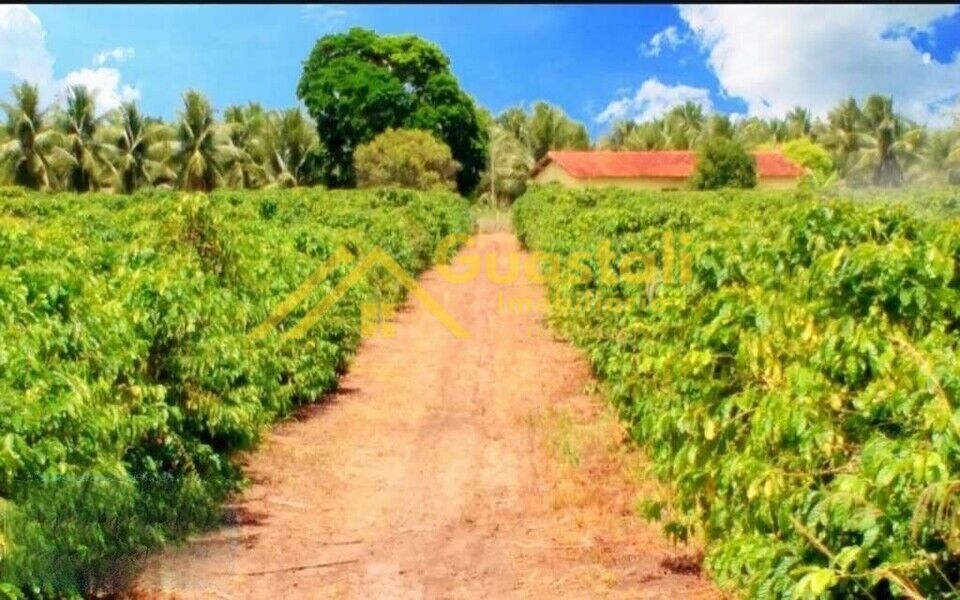 Fazenda à venda com 5 quartos, 6000000m² - Foto 11