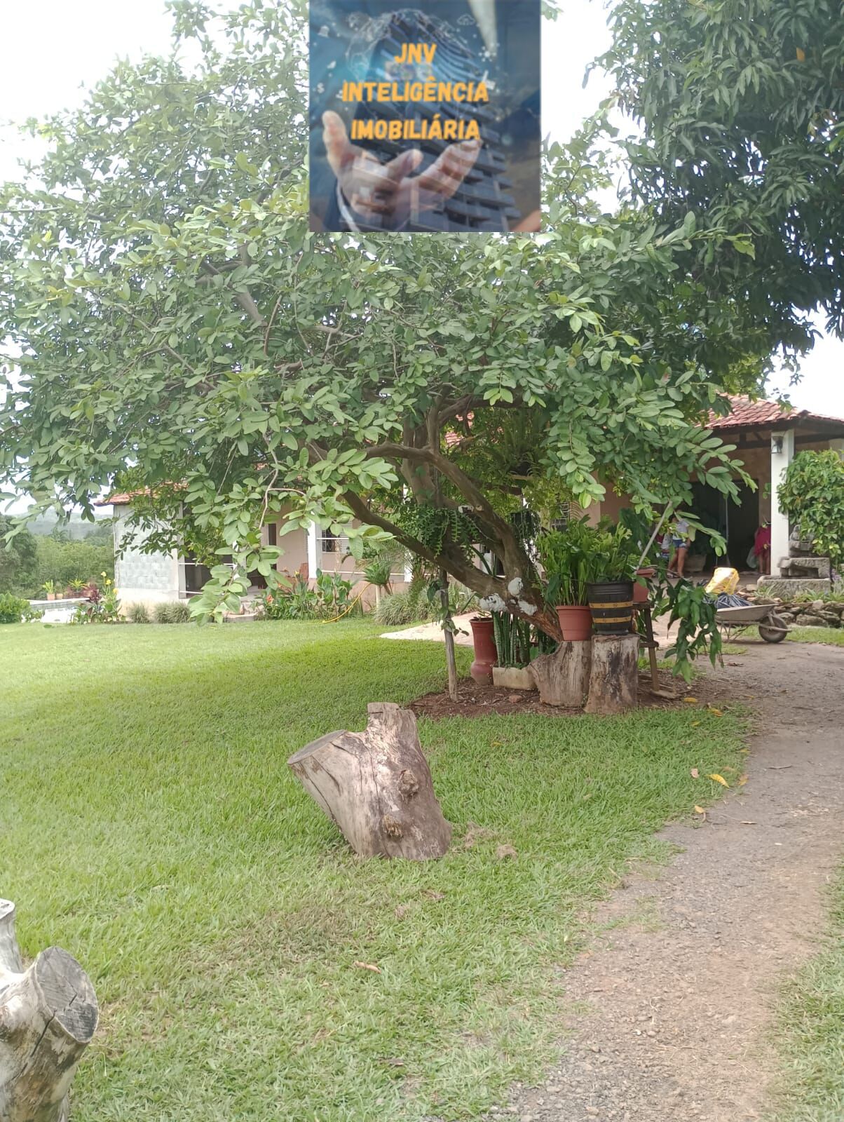 Fazenda à venda com 5 quartos, 10000m² - Foto 11