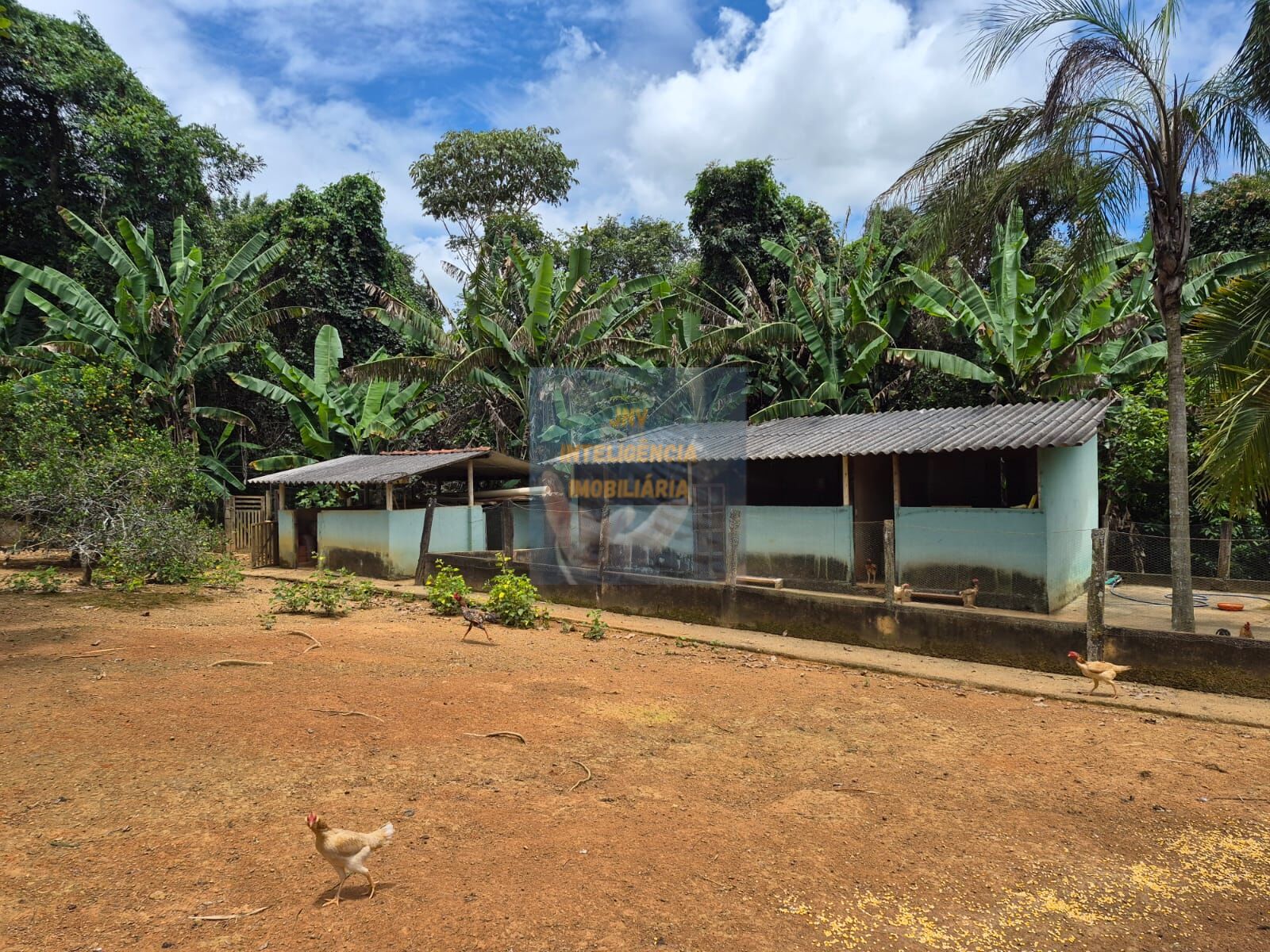 Chácara, 6 quartos, 11 hectares - Foto 13