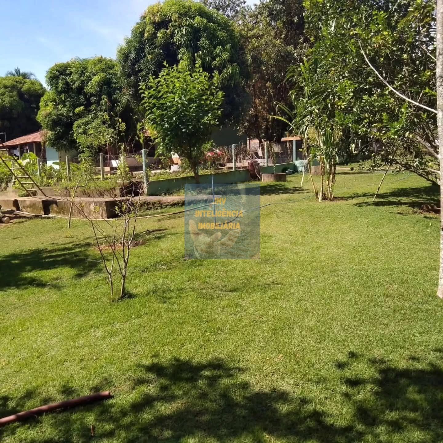 Chácara, 6 quartos, 11 hectares - Foto 12