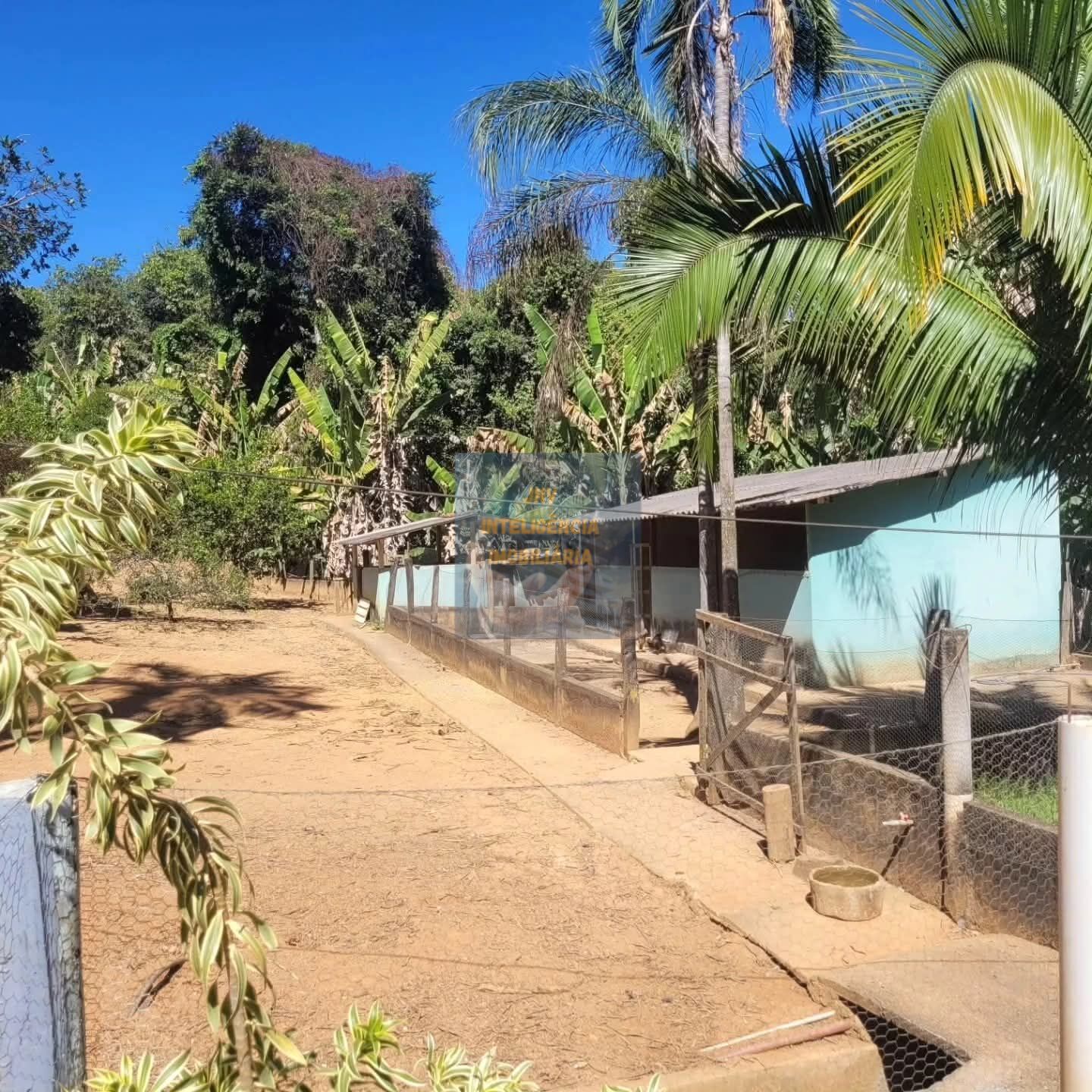 Chácara, 6 quartos, 11 hectares - Foto 19
