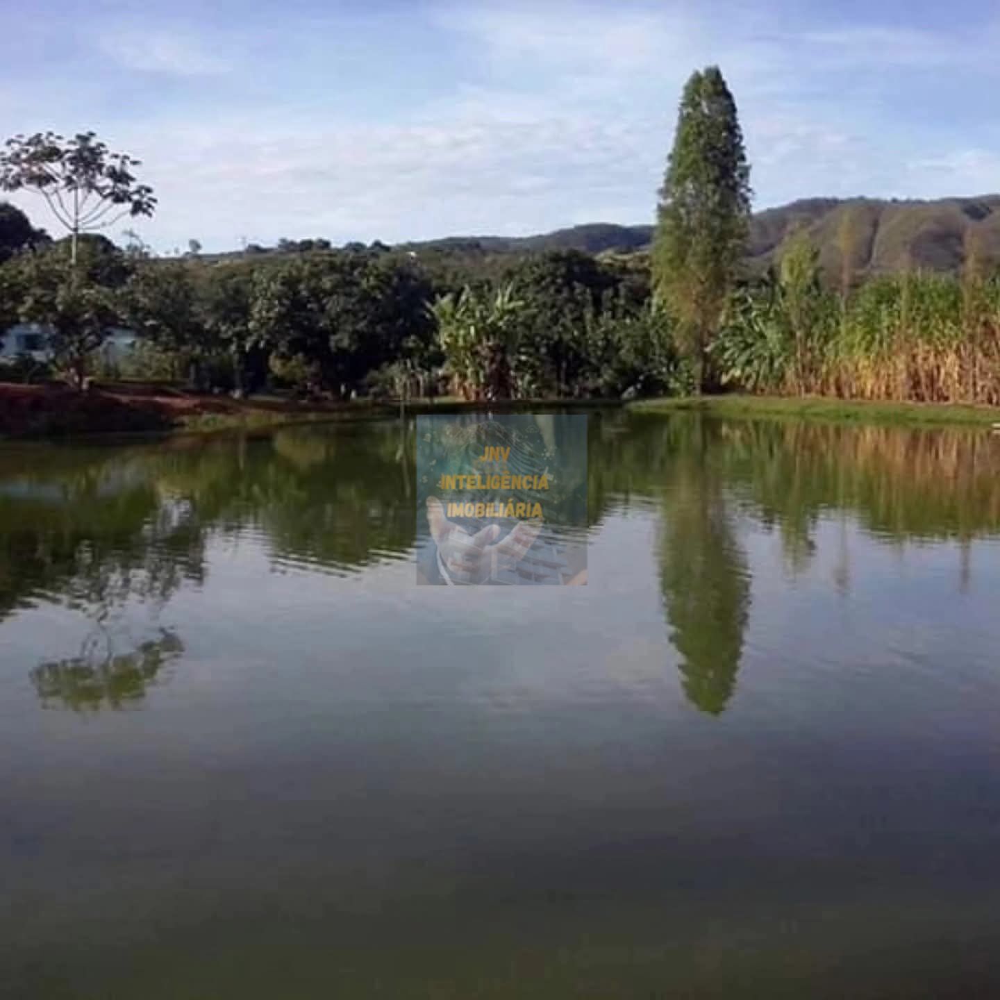 Chácara, 6 quartos, 11 hectares - Foto 6