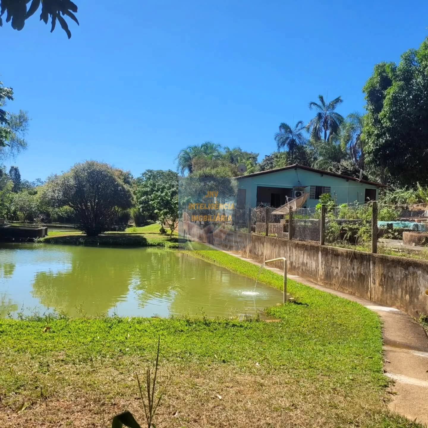 Chácara, 6 quartos, 11 hectares - Foto 7