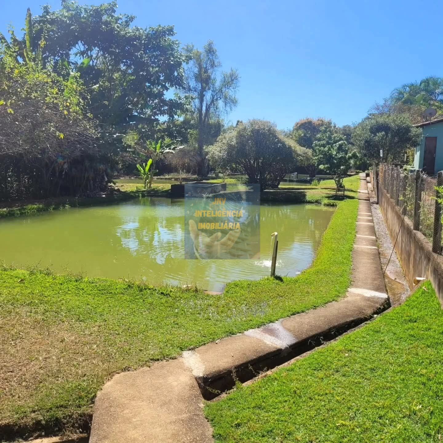 Chácara, 6 quartos, 11 hectares - Foto 8