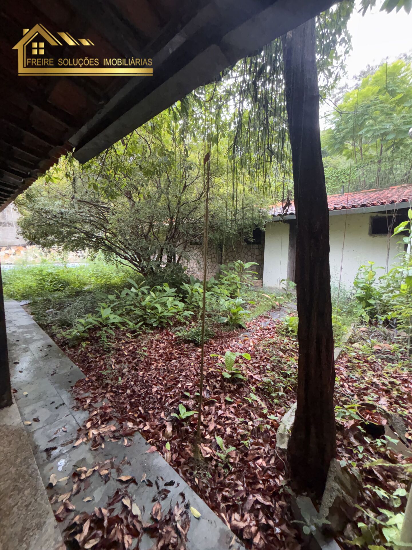 Casa, 3 quartos, 350 m² - Foto 16