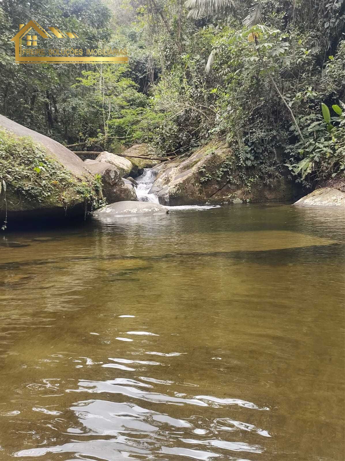 Chácara, 4 quartos, 10000 m² - Foto 19