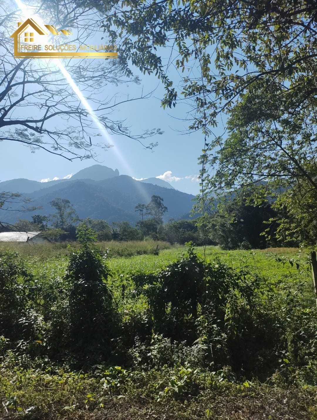 Chácara, 4 quartos, 10000 m² - Foto 11