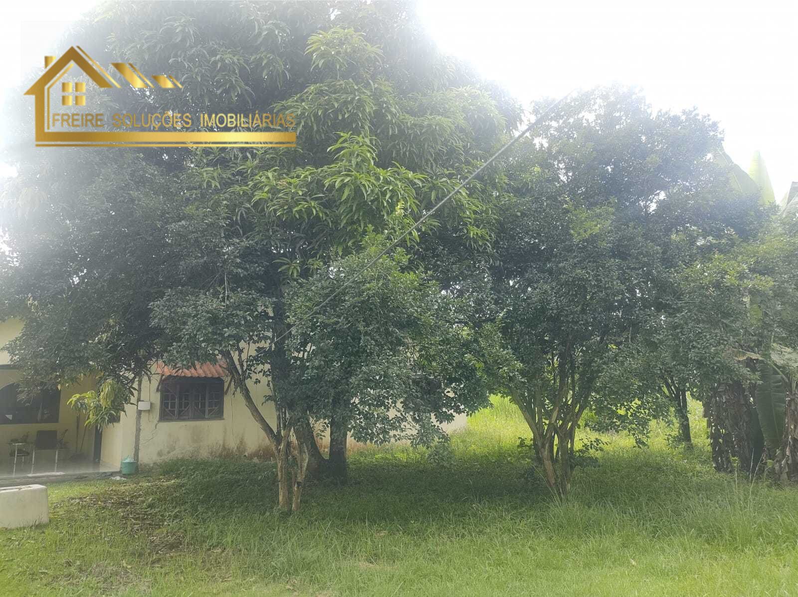 Chácara, 4 quartos, 10000 m² - Foto 13