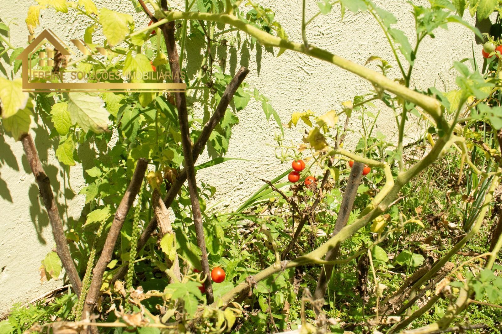 Casa, 2 quartos, 60 m² - Foto 15