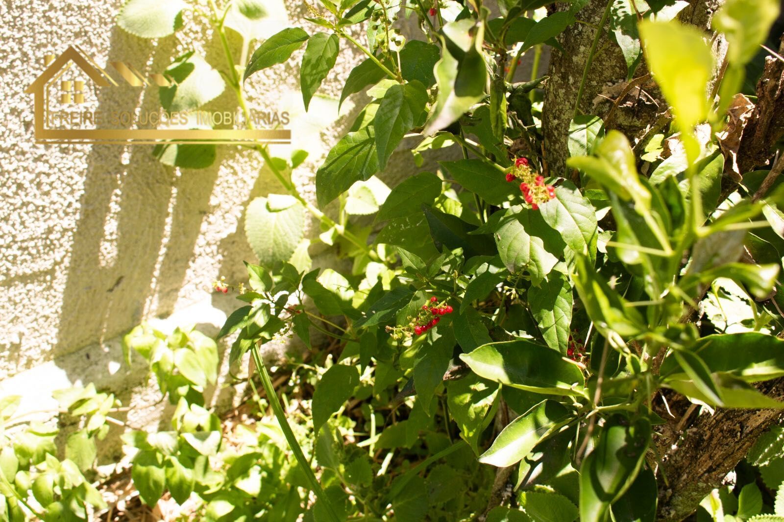 Casa, 2 quartos, 60 m² - Foto 16