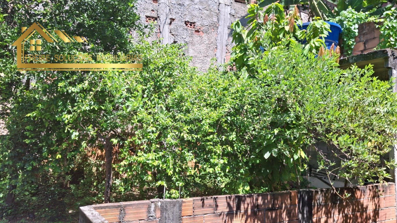 Casa, 3 quartos, 220 m² - Foto 6