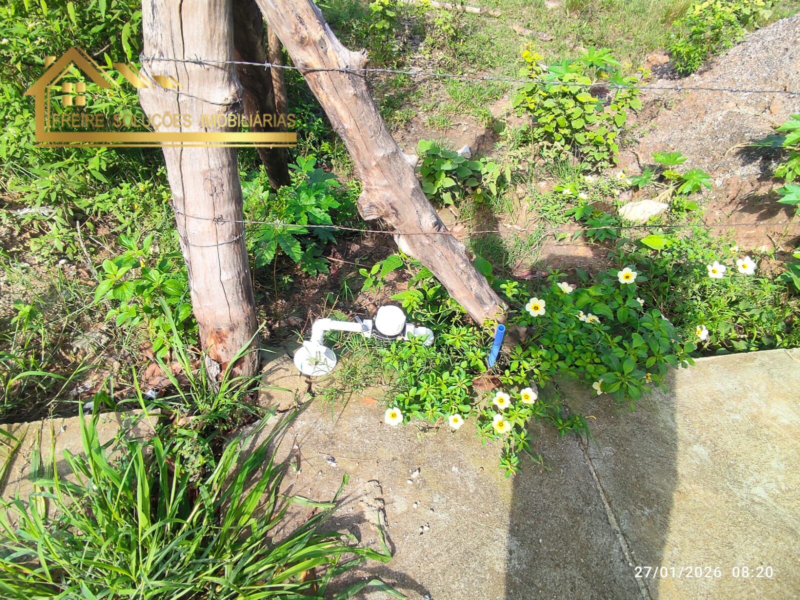 Terreno, 600 m² - Foto 8