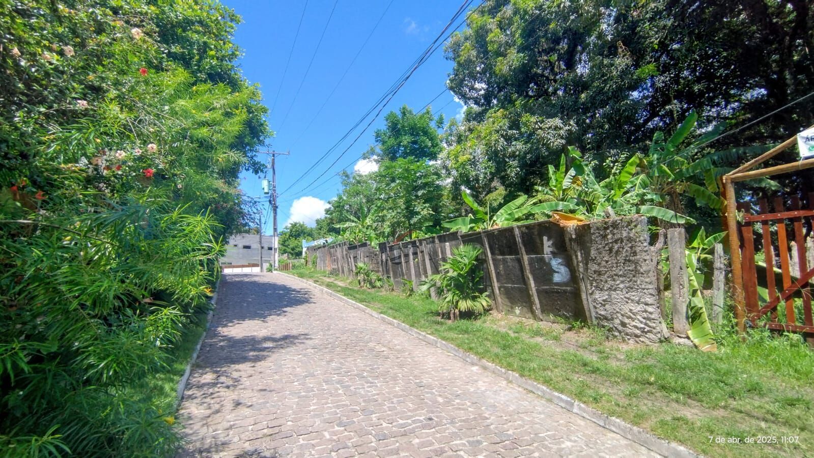 Terreno à venda, 4500m² - Foto 4