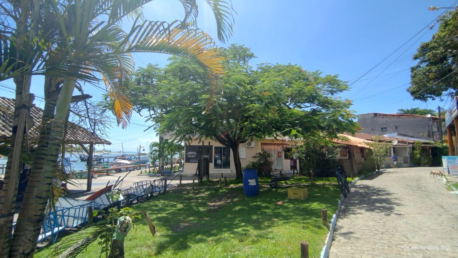 Terreno à venda, 4500m² - Foto 5