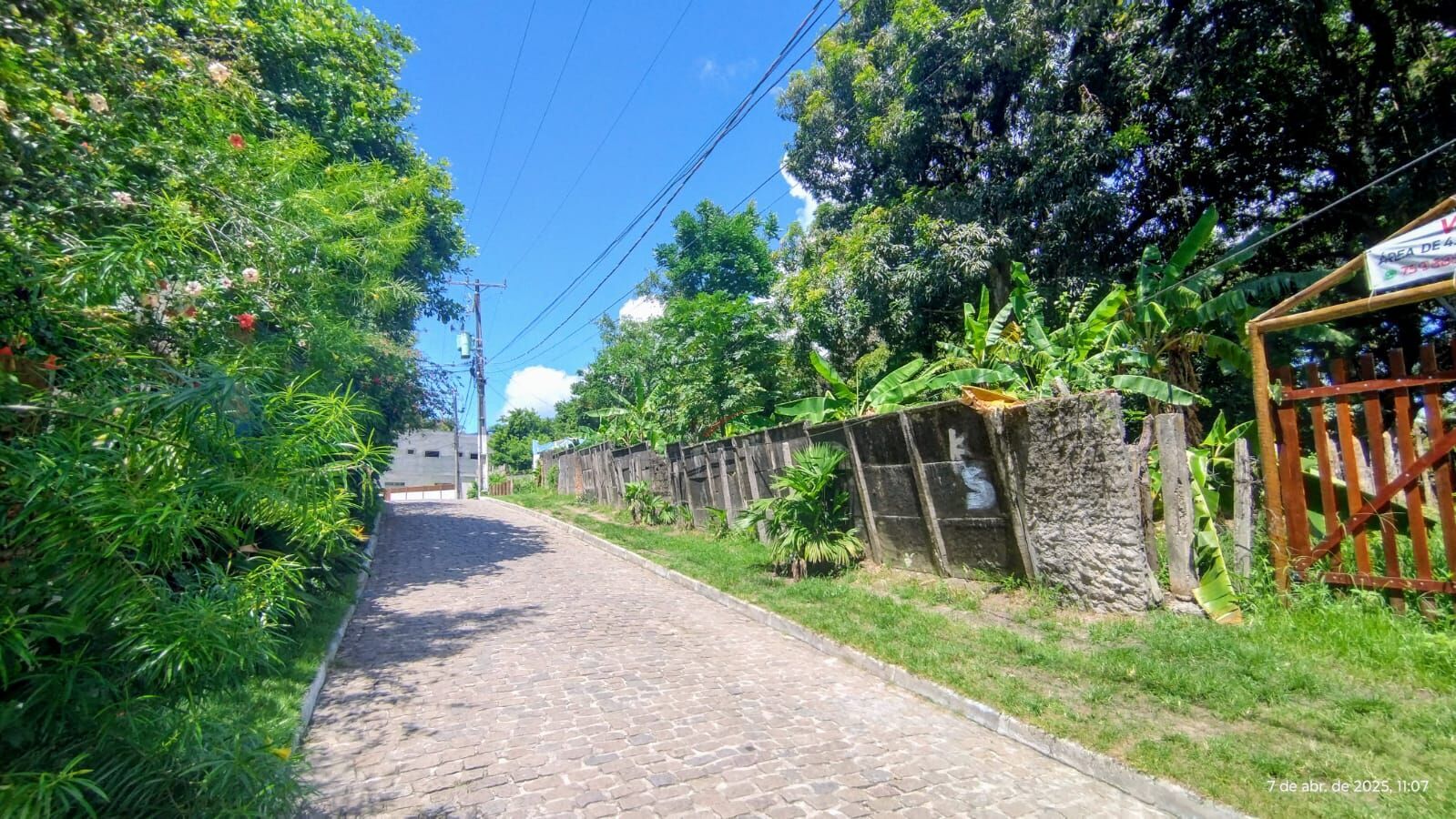 Terreno à venda, 4500m² - Foto 2