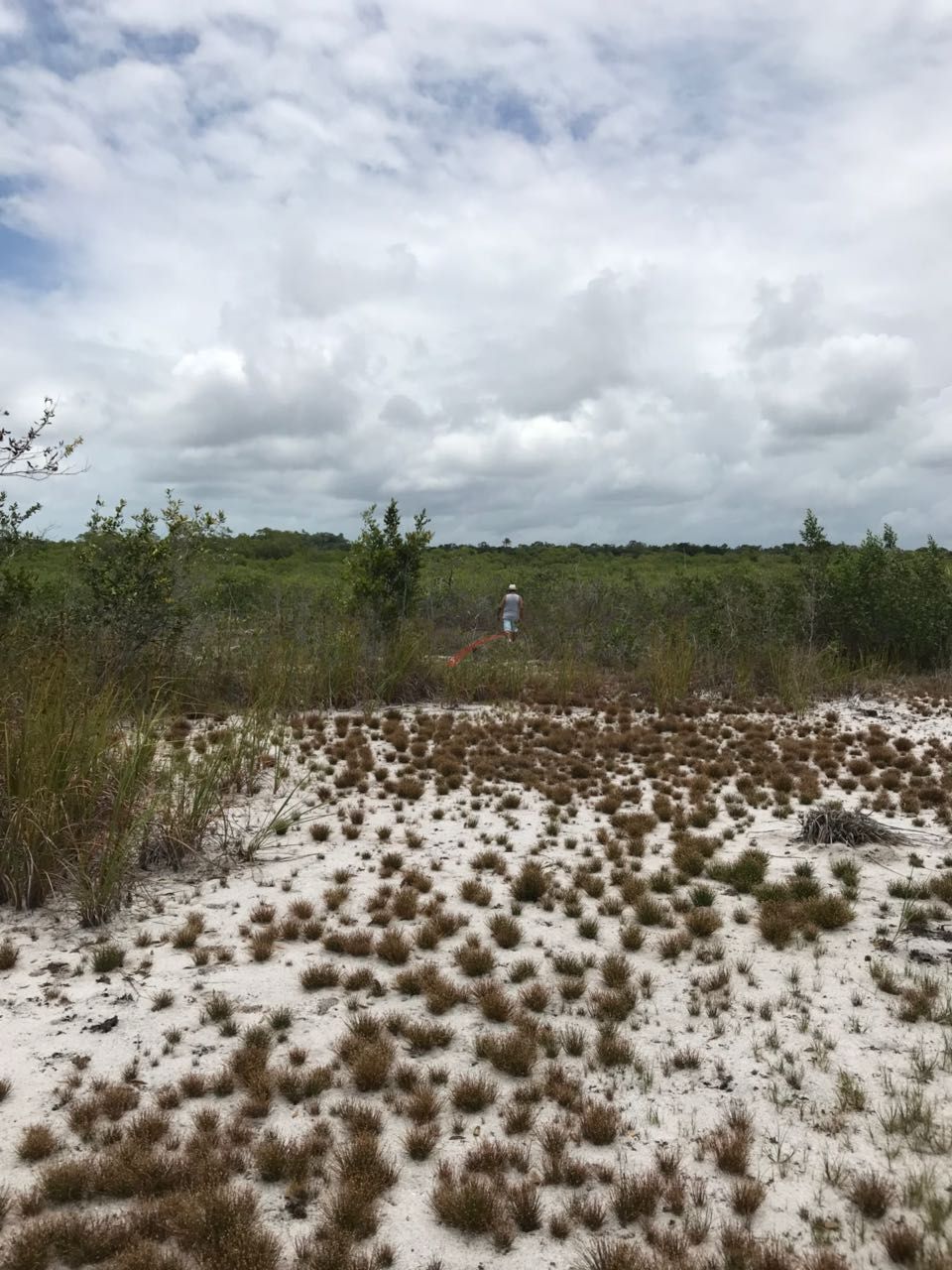 Terreno à venda, 150000m² - Foto 7