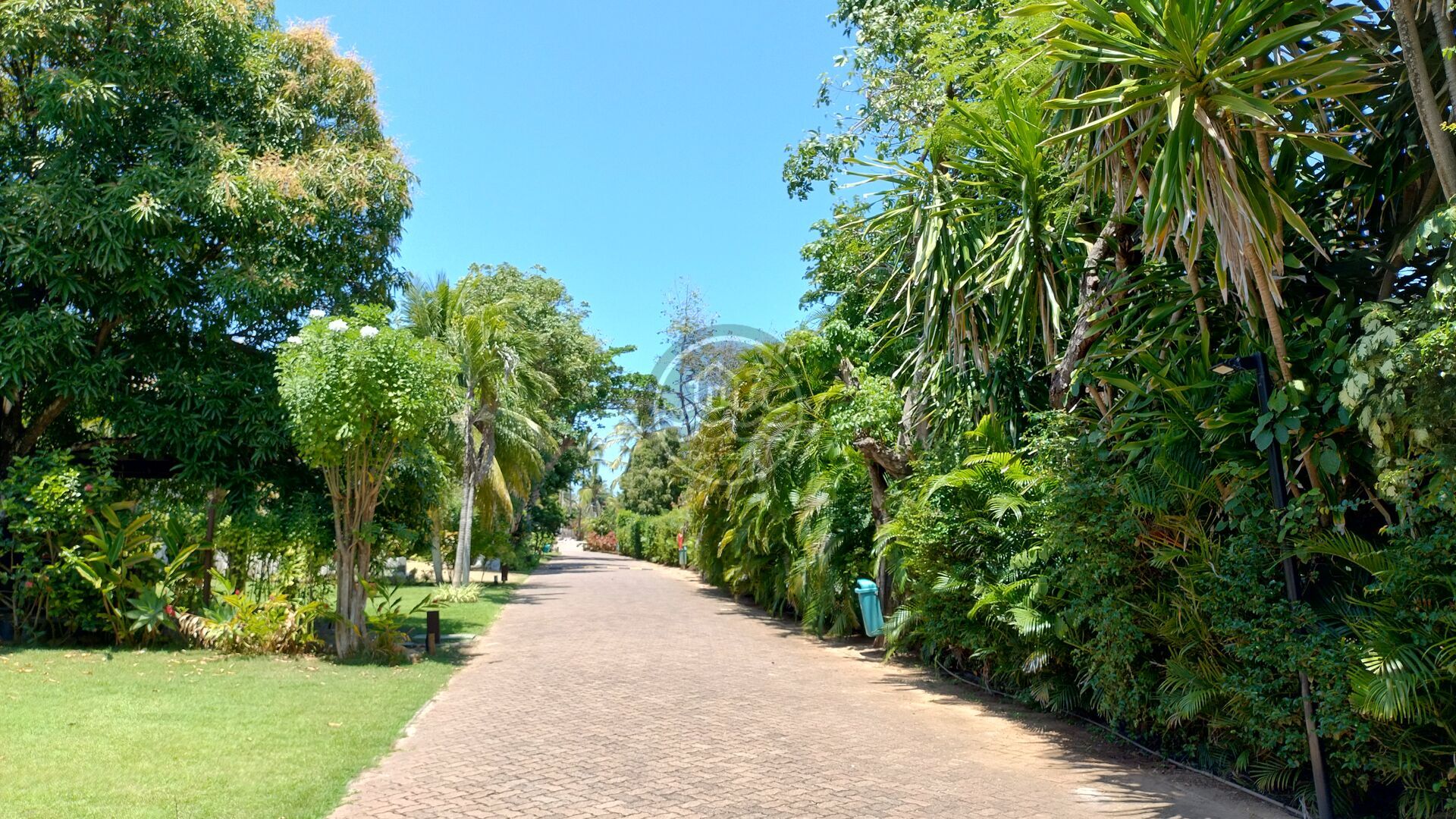 Casa de Condomínio à venda com 5 quartos, 300m² - Foto 6