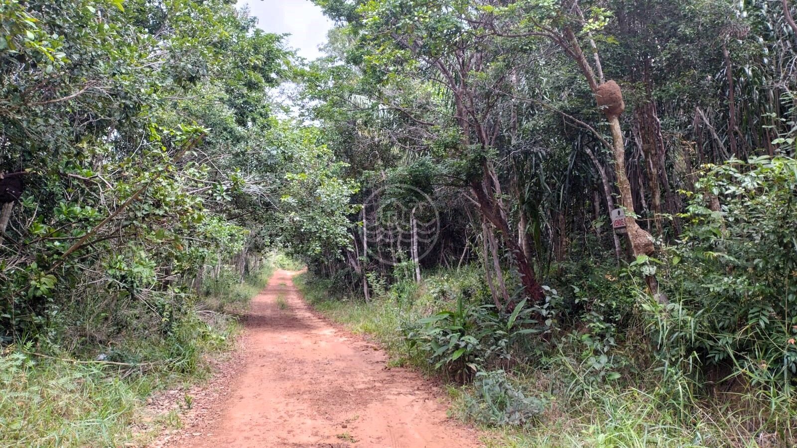 Terreno à venda, 5000m² - Foto 3