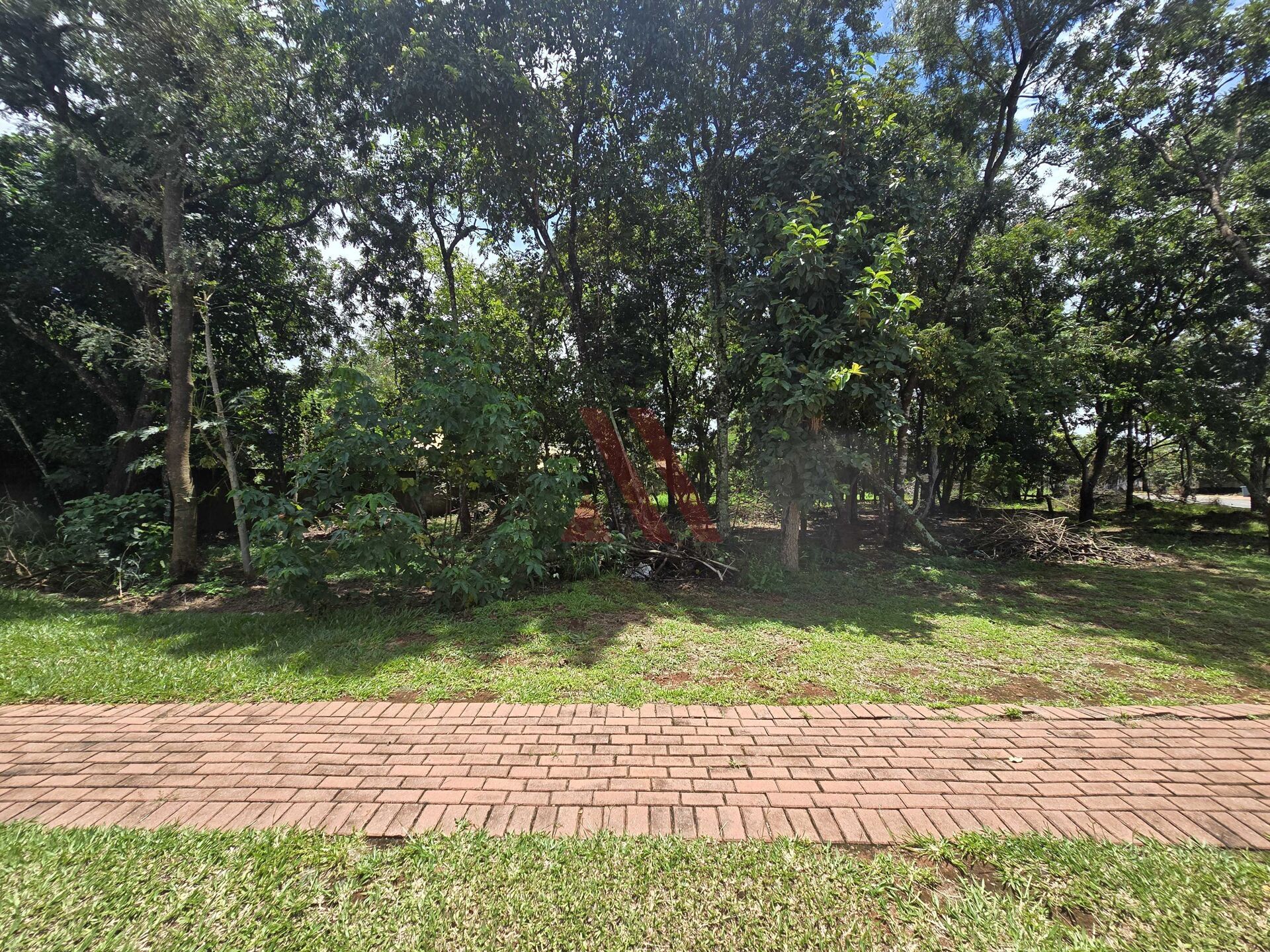 Terreno, 1830 m² - Foto 4