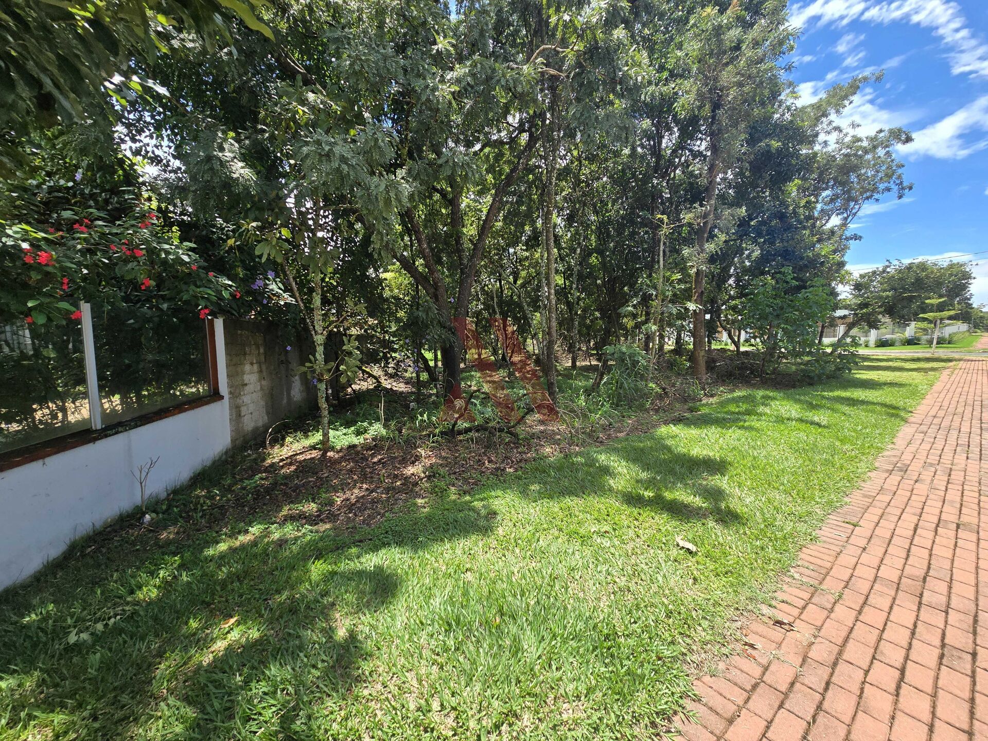 Terreno, 1830 m² - Foto 2
