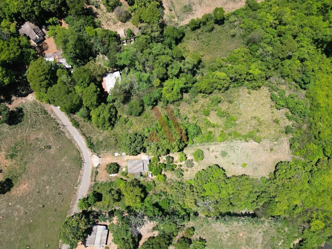 Terreno, 4342 m² - Foto 5