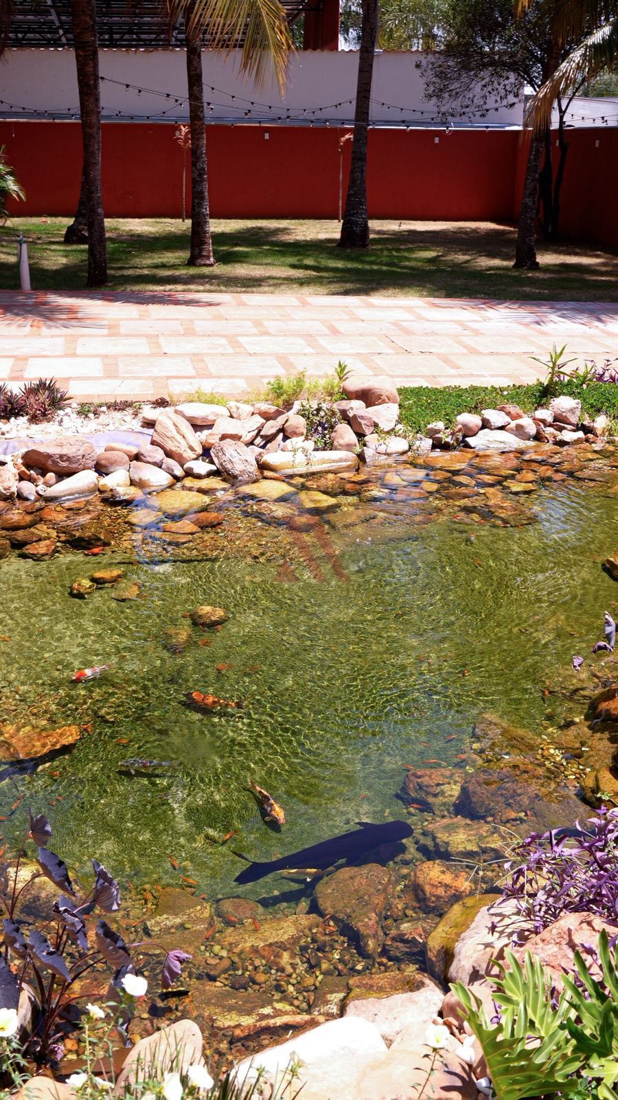 Casa de Condomínio, 5 quartos - Foto 3